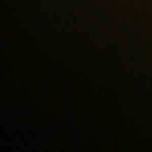 Meet your Posher, Lily